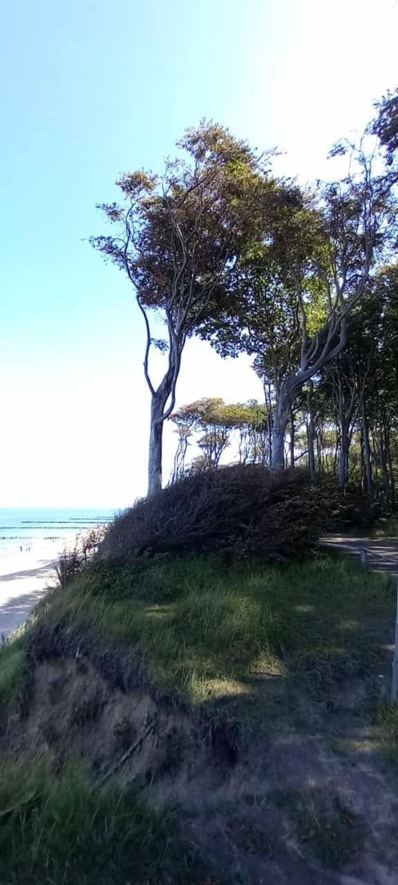 Familienurlaub Mit Hund An Der Ostsee Admannshagen-Bargeshagen Exterior foto