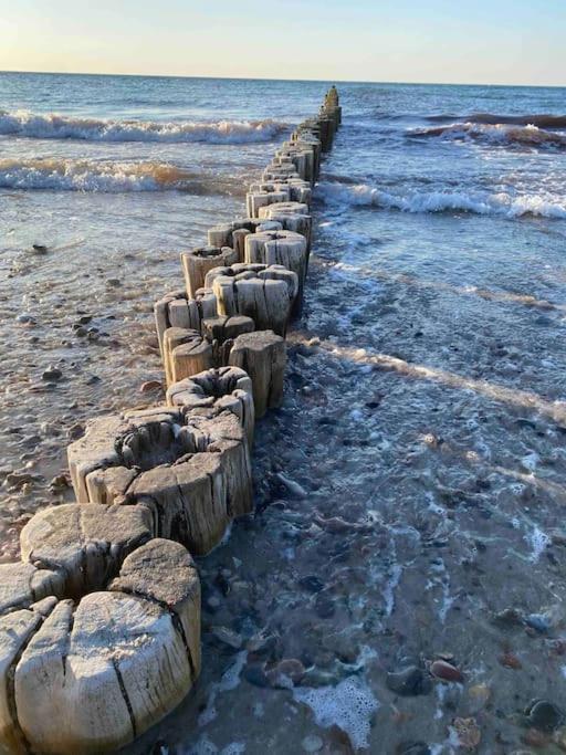 Familienurlaub Mit Hund An Der Ostsee Admannshagen-Bargeshagen Exterior foto